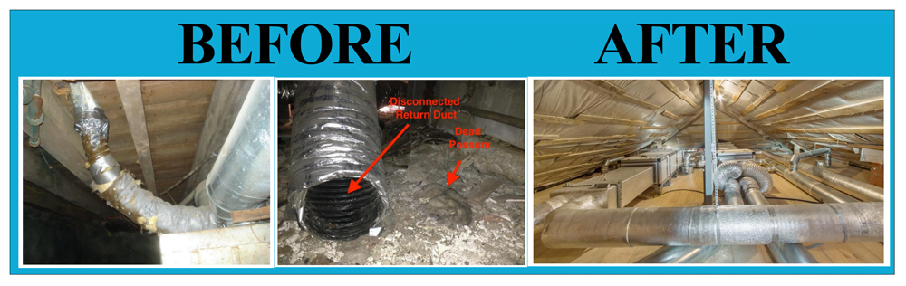 before-after